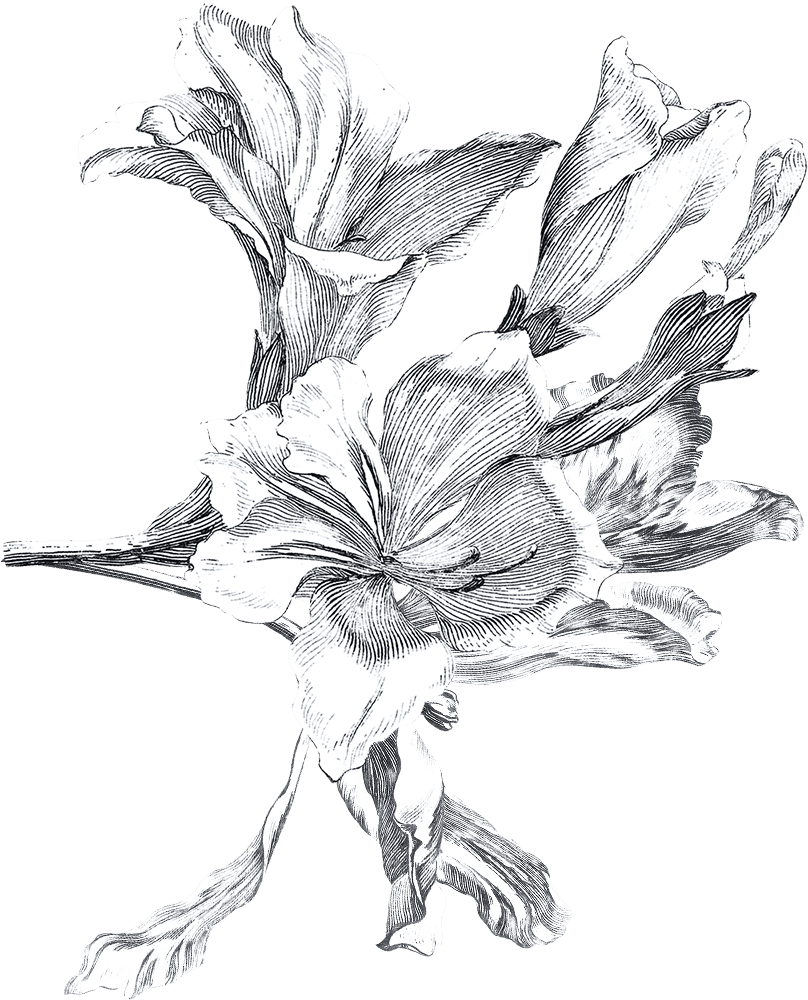 Flower bottom left
